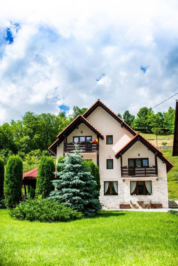 Pensiunea Poienita Albac Exterior foto