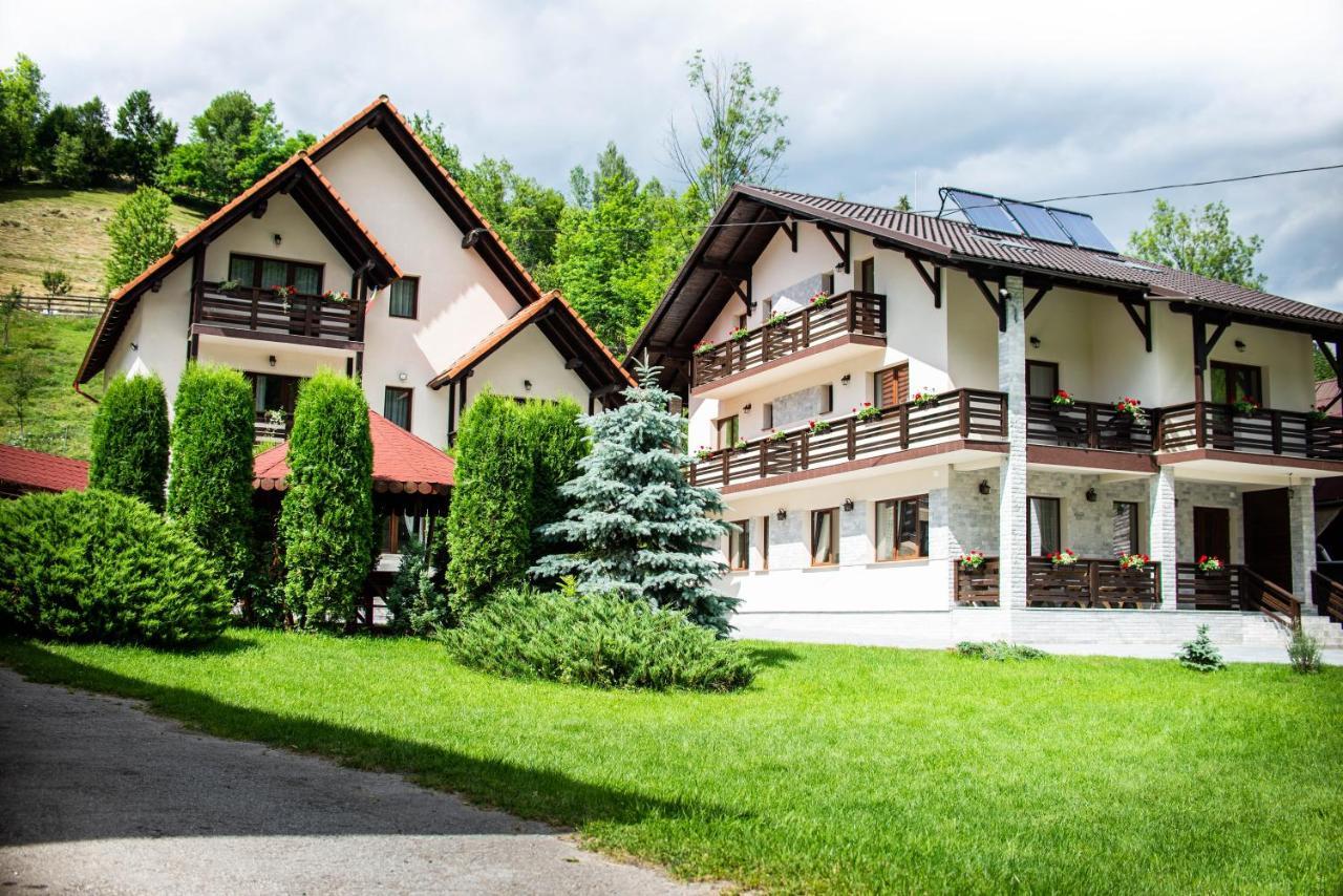 Pensiunea Poienita Albac Exterior foto