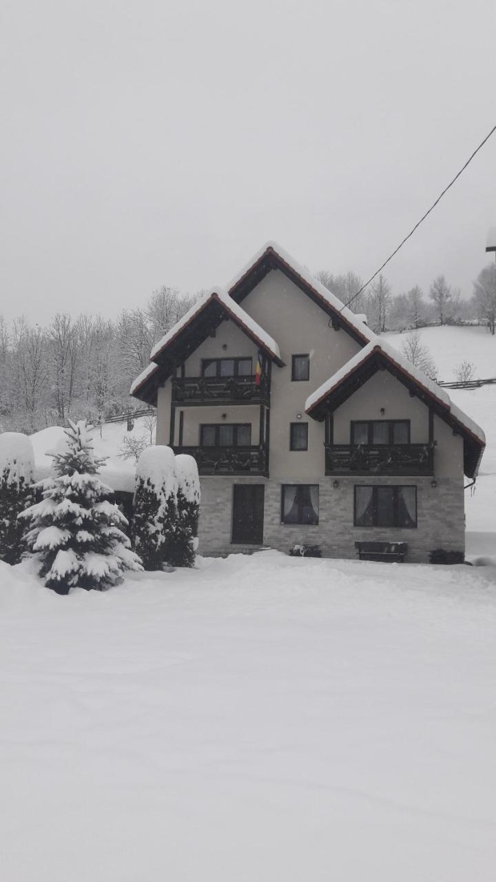 Pensiunea Poienita Albac Exterior foto